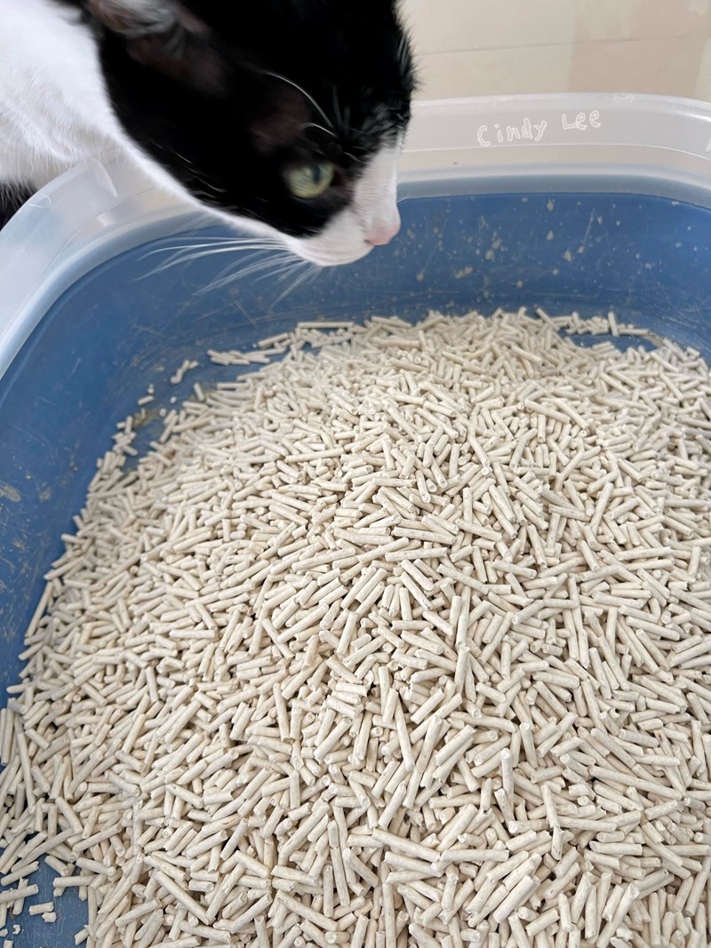 女人知己試用大隊,口碑行銷,部落客行銷,PurreLand 倍淨豆腐貓砂,好市多購買,COSTCO購買,豆腐貓砂,PurreLand倍淨,低粉塵,易清理,可沖馬桶,提供絕佳的除臭與凝結力,豆腐貓砂評價,貓砂評價,使用心得,貓砂分享,好用,原味,綠茶,豆腐砂,水量需完全覆蓋貓砂,水量需貓砂的2~3倍以上,豆腐砂評價,高CP值,划算